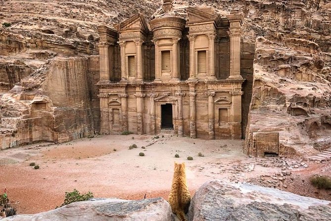 3Days Tour Petra & Wadi Rum From Amman, Dead Sea or Amman Airport - Transportation Details
