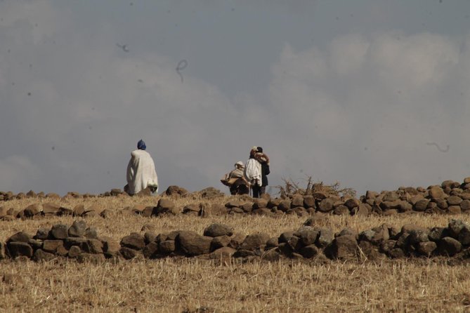 4-Day Abune Yosef Conservation Area Trekking Tour From Lalibela - Additional Information