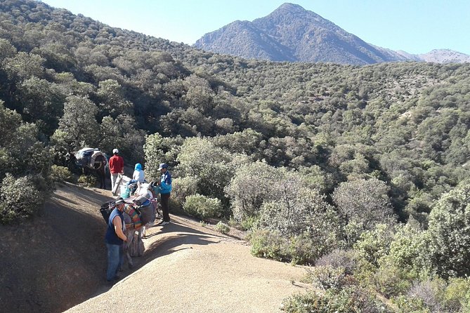 4-Day Atlas Mountains Family Trek - Meal Inclusions