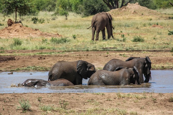 4-Day Discover Victoria Falls, Chobe and Hwange Park - Inclusions and Exclusions