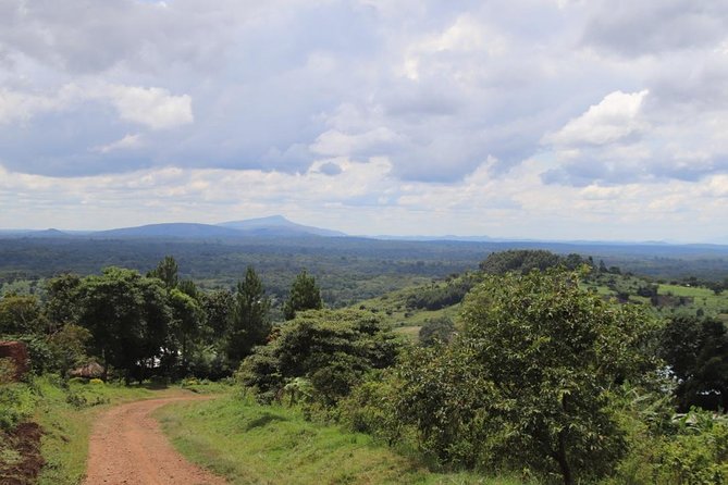 4-Day Gorillas, Wildlife and Chimpanzee Trek at Kalinzu Forest - Important Information