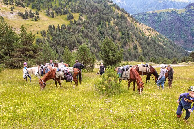4-Day Horse Riding Tour in Tusheti - Cancellation Policy