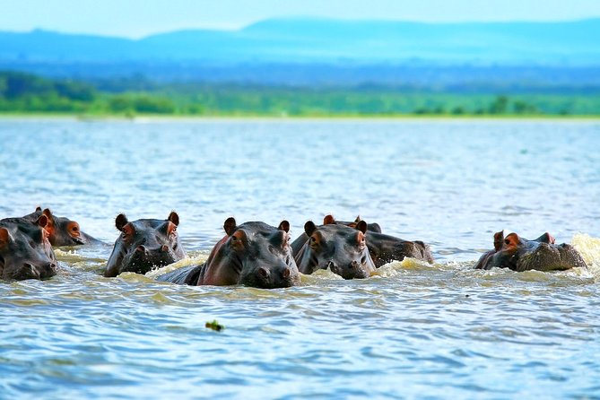 4 Day Lake Naivasha & Masai Mara Luxury Safari - Safari Activities