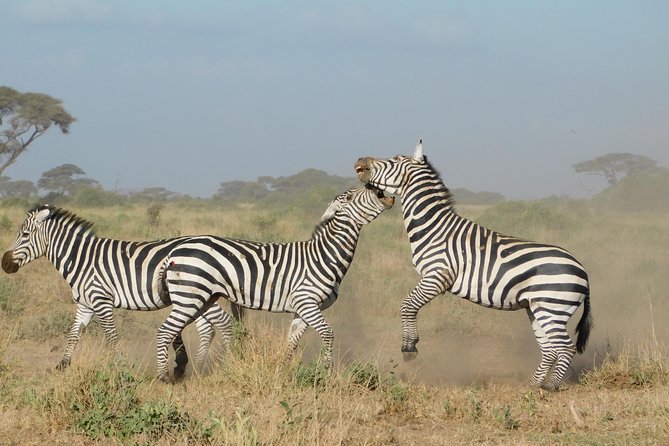 4 Day Private Masai Mara National Reserve & Lake Nakuru National Park Safari - Frequently Asked Questions