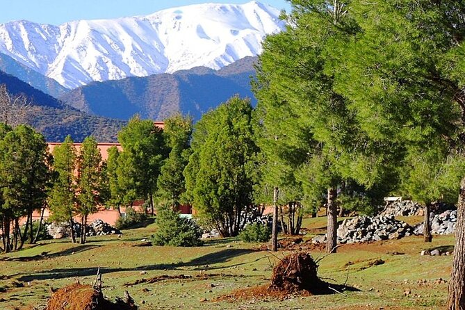 4 Day Private Tour From Fes to Merzouga Desert and Marrakech - Inclusions and Exclusions