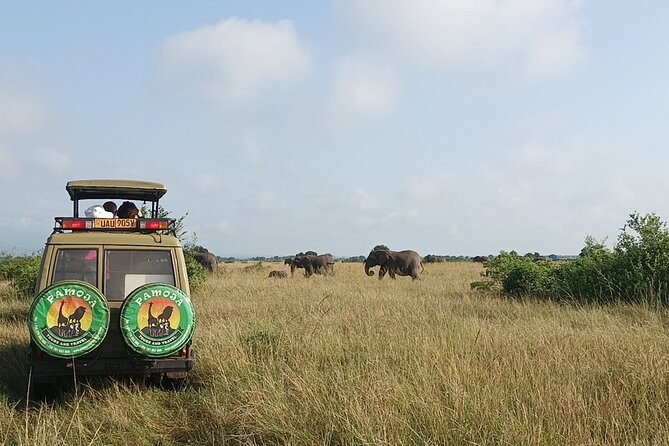 4-Day QENP, Gorillas in Bwindi and Lake Bunyonyi Relaxation - Booking and Cancellation Policy