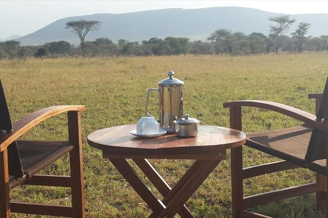 4-Day Serengeti, Olduvai Gorge and Ngorongoro Safari From Mwanza to Arusha - Helpful Tips