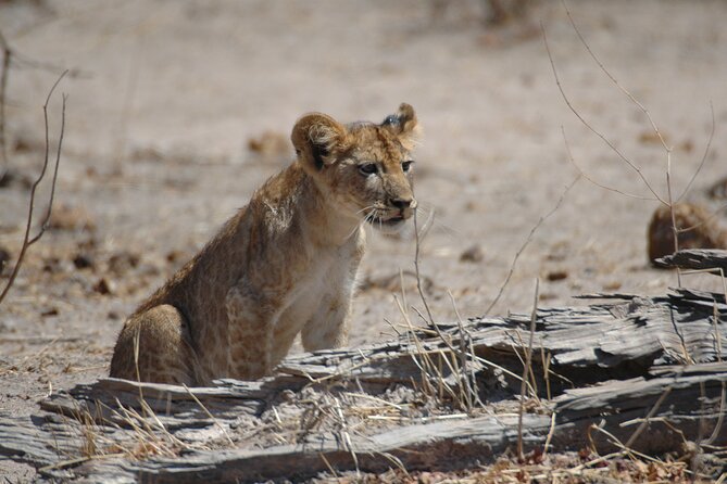 4 Days / 3 Nights Safari to Ruaha National Park - Frequently Asked Questions