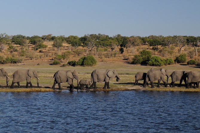 4 Days/ 3 Nights Victoria Falls & Hwange NP Adventure ( Budgeted) - Weather-Dependent Cancellation Policy