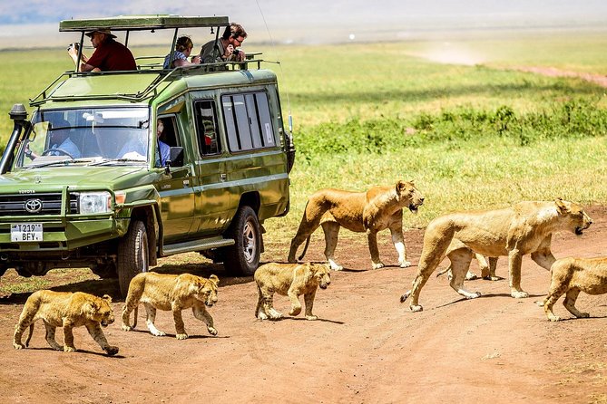 4 Days Camping Safari – Tarangire, Ngorongoro, Manyara, Olduvai Gorge - Meeting and Ticket Redemption Points