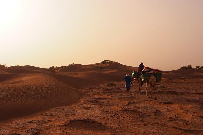 4 Days Hiking To Desert - End Point and Additional Info