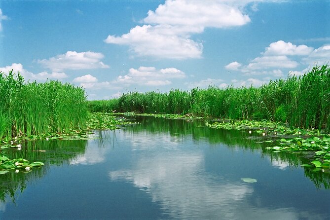 4 Days in the Heart of Danube Delta - Safety and Accessibility Guidelines
