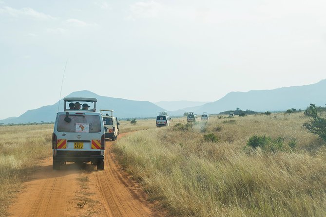 4 Days Mombasa Safari – Tsavo West, Amboseli & Tsavo East National Parks - Reviews and Ratings