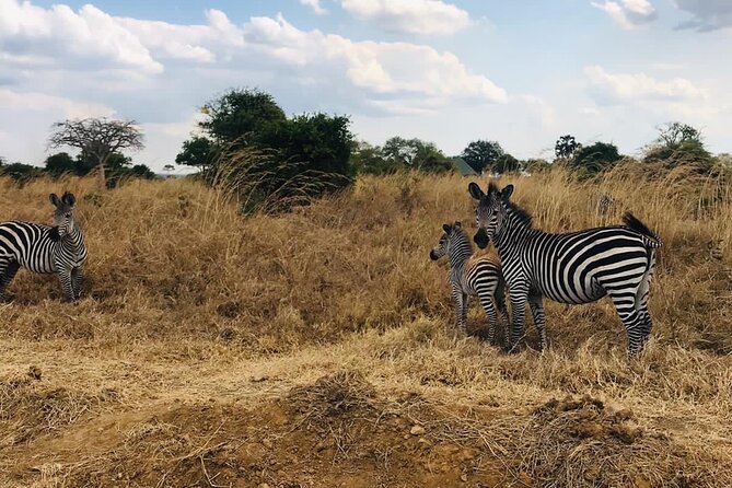 4 Days Ngorongoro Crater, Tarangire and Serengeti National Park - Additional Details