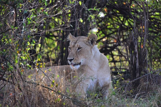 4 Days Tanzania Safari- Lake Manyara NP, Serengeti Np and Ngorongoro Crater - Frequently Asked Questions