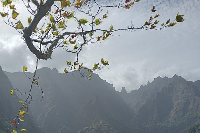 4 Days Tour Discovering Madeira - Important Policies