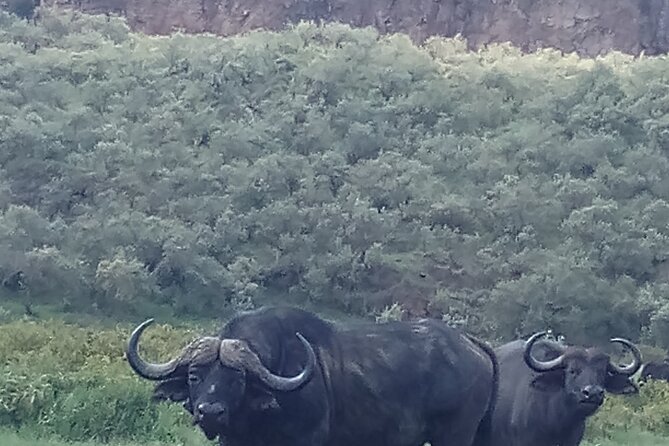 4 Days Trekking to Mt Kenya.Sirimon-Naromoru Route. - Day 4: Point Lenana to Met Station