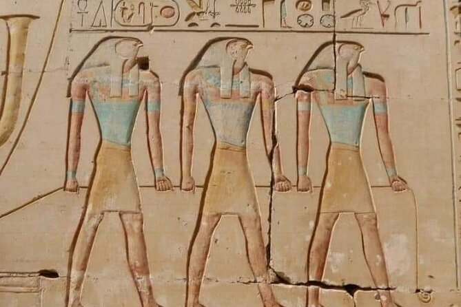 4 Hours Private Safari by Camel, Aswan - Directions