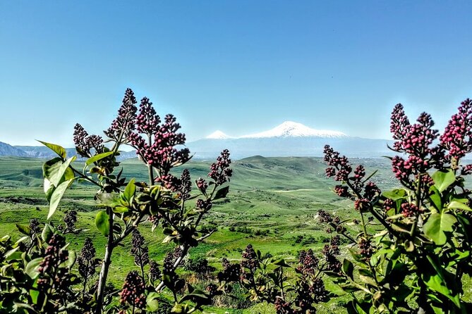 4 Nights 5 Days in Armenia Start From Yerevan - Booking Process