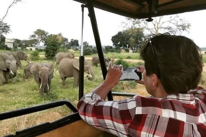 4days 3nights Safari to Mikumi, Ruaha National Park and Maasai Village