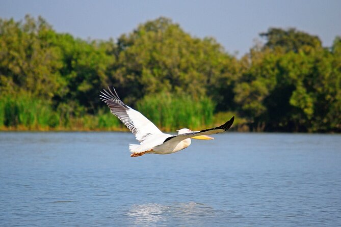 5 Day Addis,Bahir Dar,Gondar,Simien Mountains and Lalibela Tours - The Sum Up