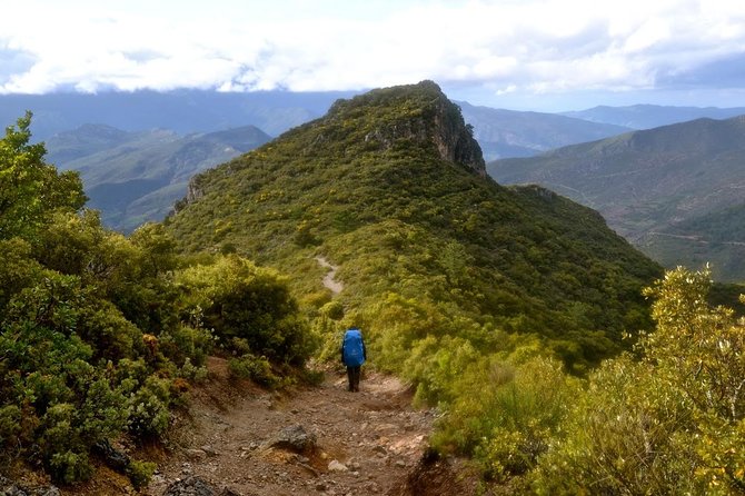 5-Day Moroco Natural Parks Tour From Tangier - Group Size & Personalization
