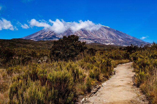 5 Day Mount Kilimanjaro Climbing via Marangu Route - The Sum Up