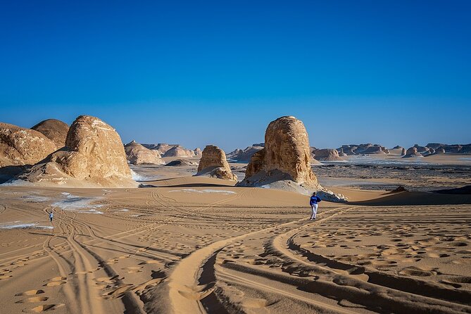 5-Day Private Exploration in Baharyia Oasis - Itinerary Details