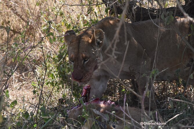 5-Day Private Safari in Serengeti Np & Ngorongoro Crater - Packing Essentials
