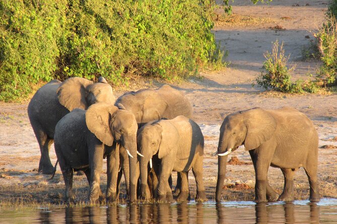 5-Day Victoria Falls and Hwange National Park Tour From Victoria Falls - Pricing Information