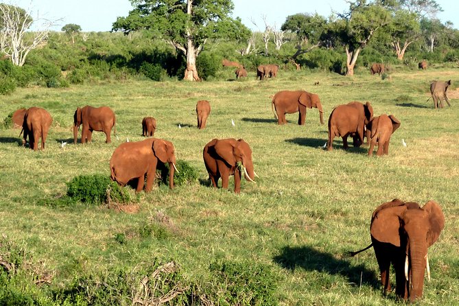 5 Days 4 Nights Budgeted Malindi Adventure - Price Inclusions