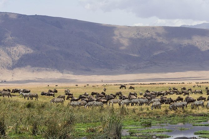 5 Days - Best Of Tanzania Northern Zone, Lodge Safari - Cultural Experiences