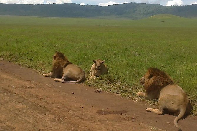 5 Days Budget Camping Safari To See Great Migration - Cultural Experiences