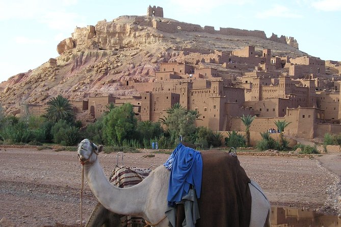 5 Days Fes to Marrakech Desert Tour - Booking Information