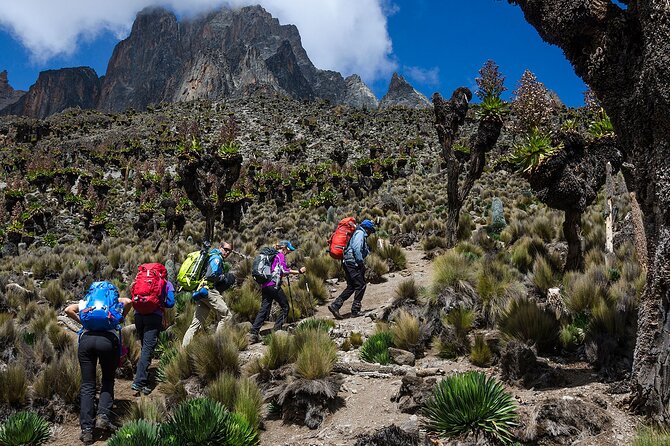 5 Days Mount Kenya Trekking Through Sirimon in Chogoria Route - Essential Packing List