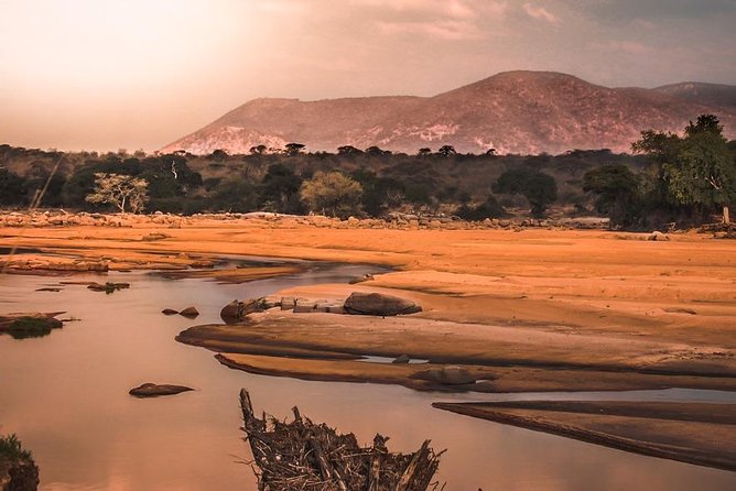 5 Days Ruaha National Park Safari - Travel Tips