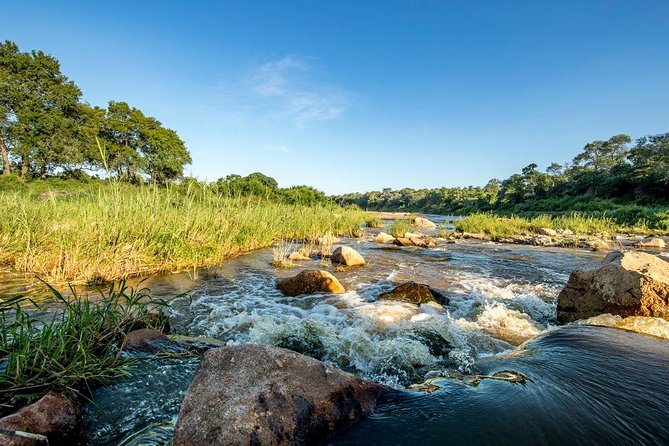5 Days Serengeti Migration Safari - Accommodation Details