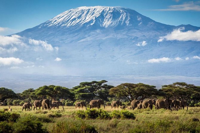 5 Days Serengeti Wildebeest Migration Safari - Practical Information