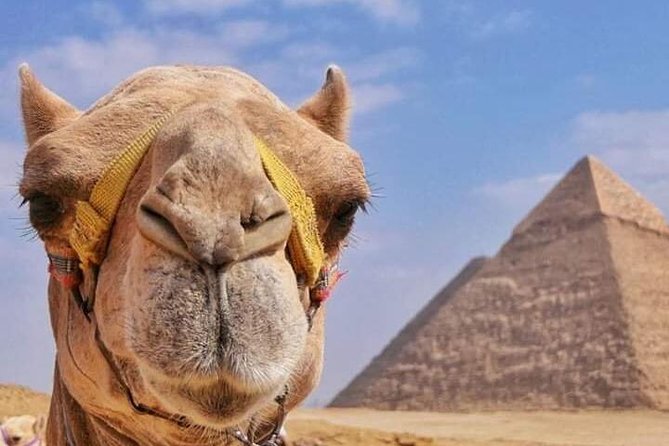 5-Hour Private Camel Riding Activity Around Pyramids of Giza - Frequently Asked Questions