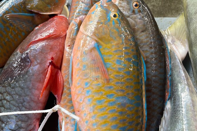 5 Hour Private Customize Tour of Mahe, Seychelles - The Sum Up