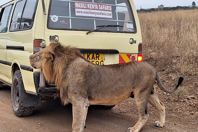 5 Hours Nairobi National Park Private Tour - Additional Tour Information