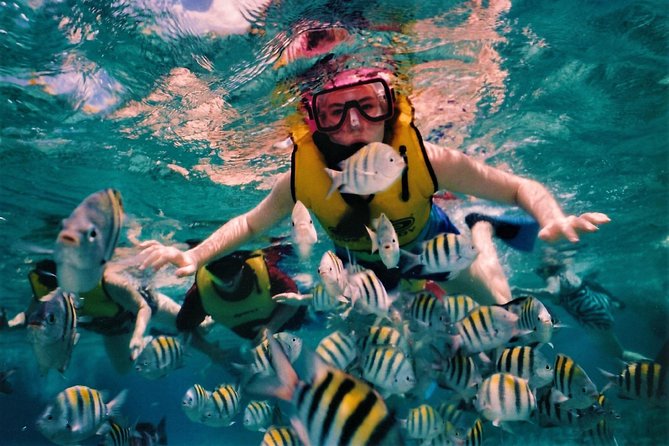 5 Islands Speedboat Cruise Incl. Snorkeling in Blue Bay + Lunch at Ile Aux Cerfs - Frequently Asked Questions