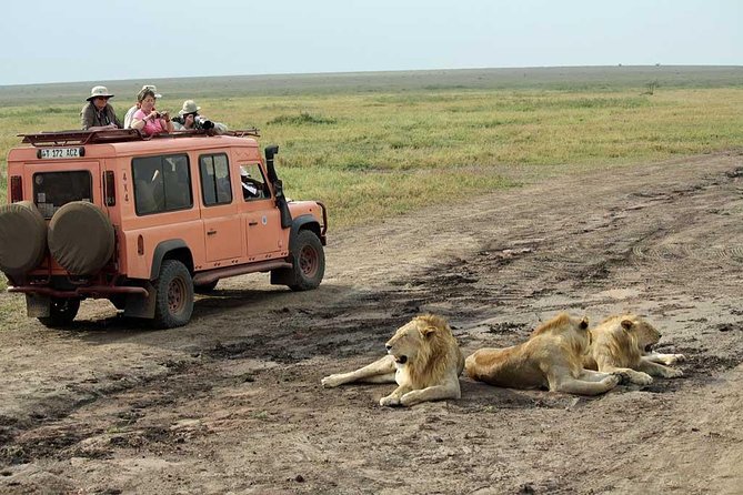 6 Day Luxury Lodge Wildlife Safari :Northern Tanzania on 4x4 Jeep - Dining Options