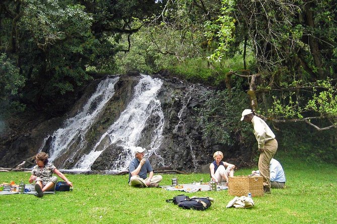 6 Day Luxury Safari Serengeti,Ngorongoro,Manyara,Tarangire,Arusha National Park - Private Tour Experience