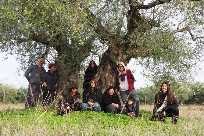 6 Day Olive Oil Immersion Tour, Oct. 25th - Oct. 30th - Greece - Transportation Information