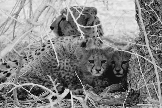6- Day Wildlife & Landscapes - Landscape Exploration