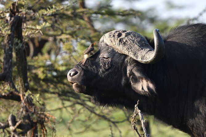 6 Days 5 Night Safari - Cancellation Policy Details