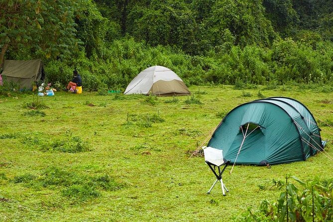 6 Days Bale Mountains Trekking - Fitness Level and Requirements