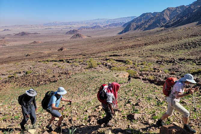 6 Days Guided Trek From Dana to Petra (Group) - Meeting and Pickup Information
