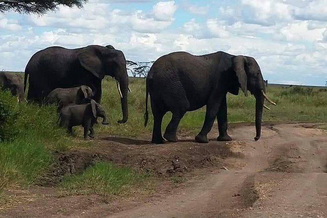 6 Days Mara River Crossing - The Great Migration - Tour Overview
